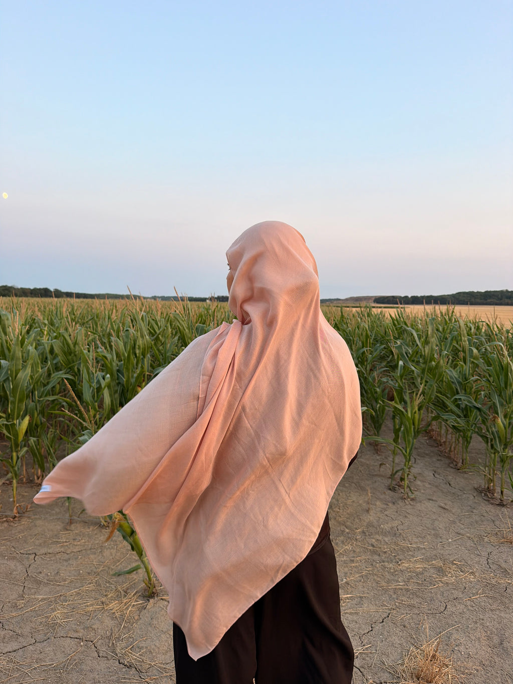 Modal Baby Pink