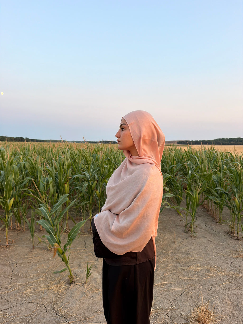 Modal Baby Pink