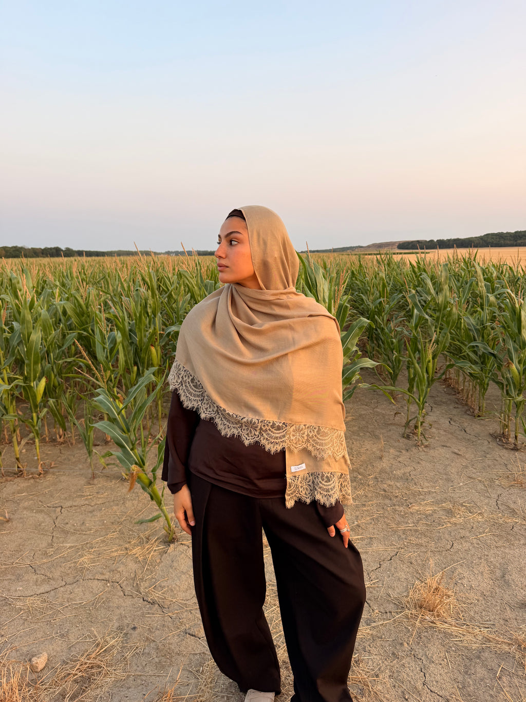 Modal Lace Sand